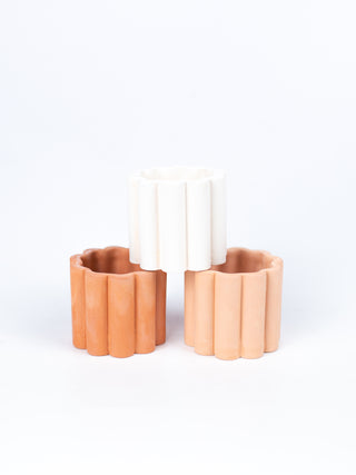Front Range - Small Daisy Planter