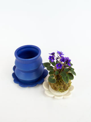 ARIUM CLAYWORKS - Flower Petal Saucers